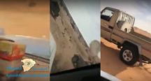 بالفيديو.. قتل 7 من الأغنام: مطاردة ذئب بسيارات شاص وقتله في نفود حائل