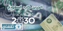 “لن تجعلهم يبحثون عن الجنسية”.. تعرف على مزايا “البطاقة الخضراء” للمقيمين