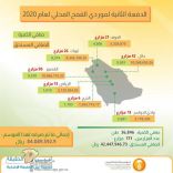 مؤسسة الحبوب تبدأ صرف مستحقات الدفعة الثانية لمزارعي القمح المحلي لهذا الموسم