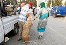 بالصور : عيد الأضحى.. دول مختلفة وعادات متشابهة