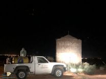 يبذل فرع وزارة البيئة و المياه والزراعة في منطقة حائل جهودا حثيثة لمكافحة اسراب الجراد