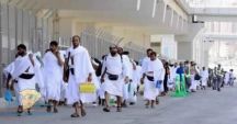 هيئة الإحصاء توضح الأعداد الإجمالية لحجاج الداخل والخارج