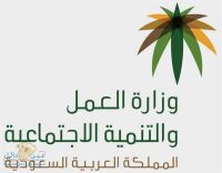 “العمل” تخالف “الخطوط السعودية” لفصلها سعوديين وإحلال أجانب مكانهم
