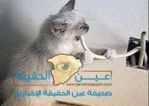 قط( بّس) يعطل ثلاث إدارات باالمجمع الحكومي بـ #حائل