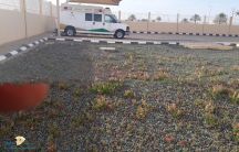 مراجعين مركز صحي القاعد يطالبون بوضع مسطحات خضراء للأنتظار