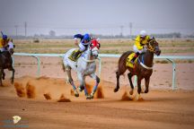 بنت الأبجدية»تخطف كأس نايف الجميل في ميدان الفروسية بحائل