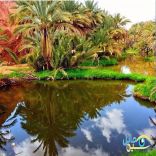 بالصور ____ تلاع الشارف و الرضفين وجمال الطبيعة في حائل..