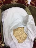 أمن طرق مركز ميقوع يضبط شابان سعوديان بحوزتهم ٨٩ ألف حبة كبتاجون