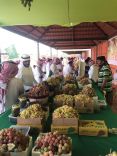 رعاية سمو امير منطقة القصيم لمهرجان العنب بمركز الصلبيه