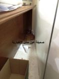تلد وتربي صغارها في أحد مكاتب أمانة منطقة حائل دون أن يتعرض لها أحد