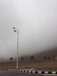 مدينة حائل تتزين بالضباب‎