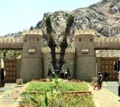 نقل النخلة التوأم”بحائل”الى المغواة