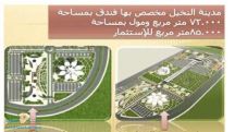 اعتماد مدينة النخيل شمال مدينة حائل