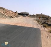 سكان « حي المدائن » بمدينة حائل يطالبون بالسفلتة والإنارة والرصف وابراج الجوال