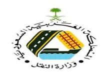 وزارة النقل تعتمد ترقية 400 من موظفيها وقياديها بمختلف المراتب