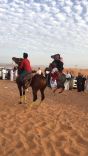 استعراض ومسيرة للخيول العربية الاصيلة في رالي حائل نيسان الدولي٢٠١٧