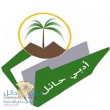 تشكيل لجنة فيد الثقافية بمدينة فيد التاريخية