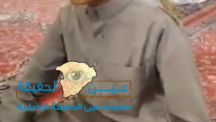 الفيديو…«عصفور» يقف على كتف طفل أثناء تلاوته القرآن في المسجد النبوي