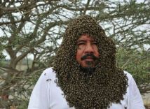 بالصور.. نحال سعودي يكشف سر تجمع 20 ألف نحلة حول وجهه!